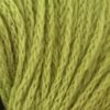 Dark Citron